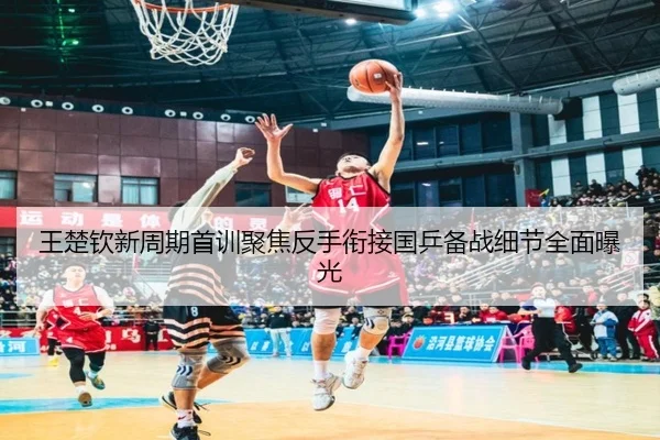 王楚钦新周期首训聚焦反手衔接国乒备战细节全面曝光