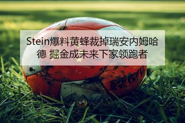 Stein爆料黄蜂裁掉瑞安内姆哈德 掘金成未来下家领跑者